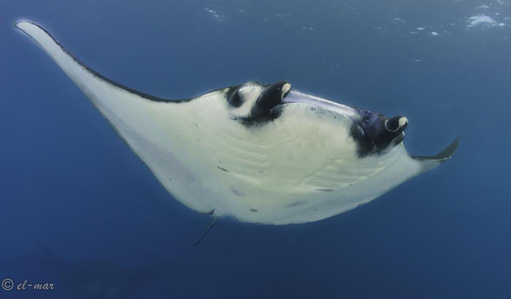 Kubu Indah Dive & Spa Resort Tulamben Exteriör bild